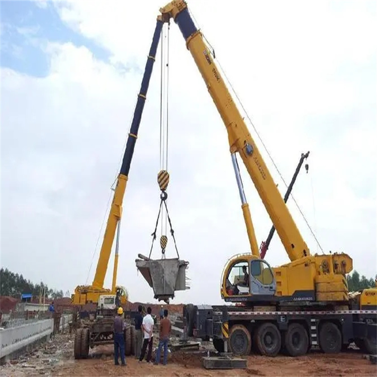 总口管理区小型吊机出租电话|厂房设备吊装方案|24小时服务覆盖